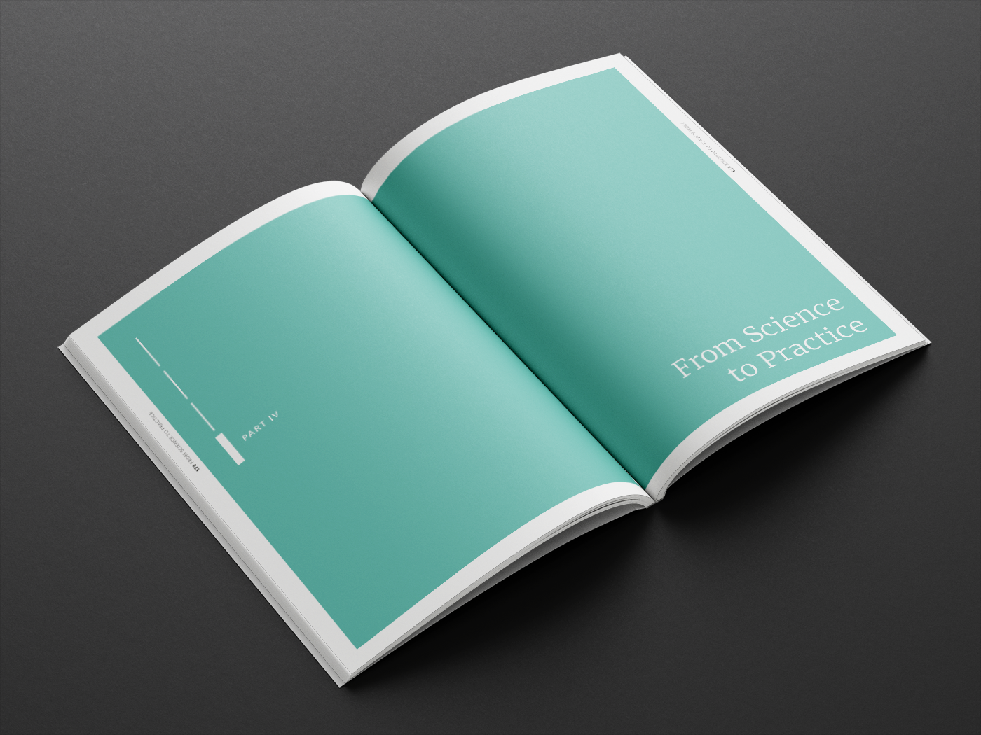 CJA Proefschrift Free_Book_Mockup_5-03